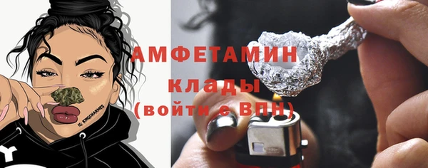 прущие грибы Верхний Тагил