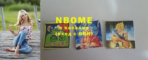 прущие грибы Верхний Тагил