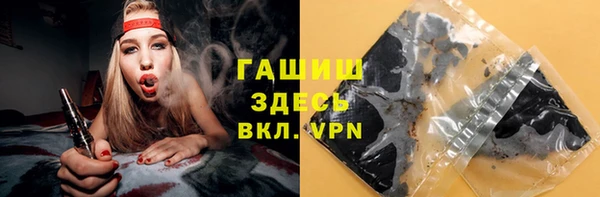 прущие грибы Верхний Тагил
