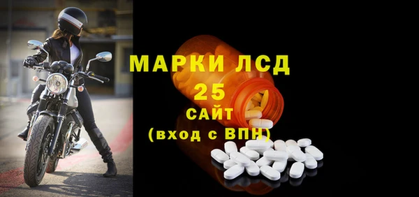 прущие грибы Верхний Тагил