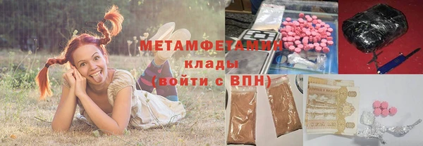 прущие грибы Верхний Тагил