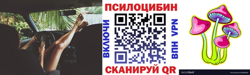 Псилоцибиновые грибы мицелий  Нолинск 